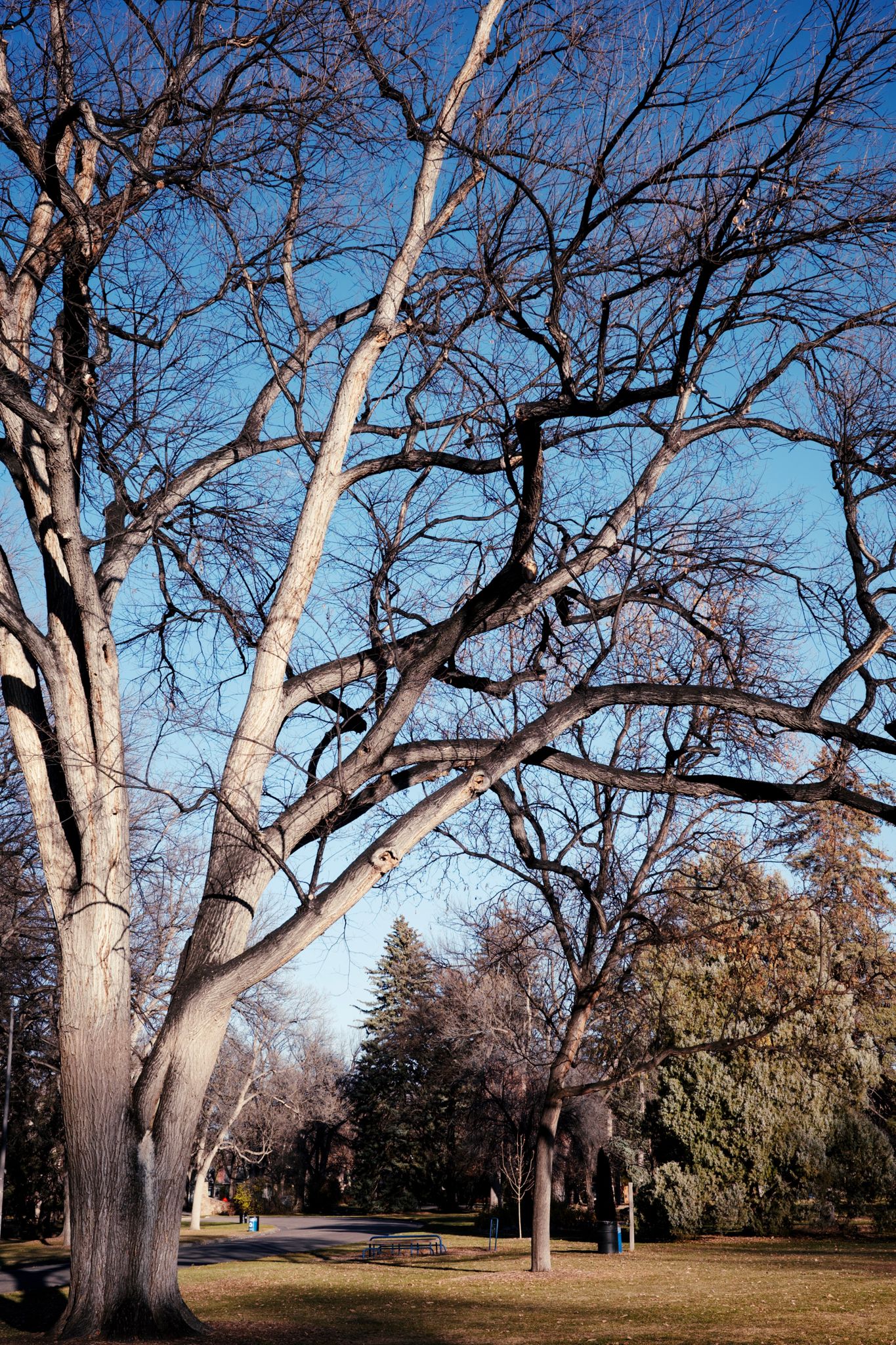 Full size image for Winter is closing in