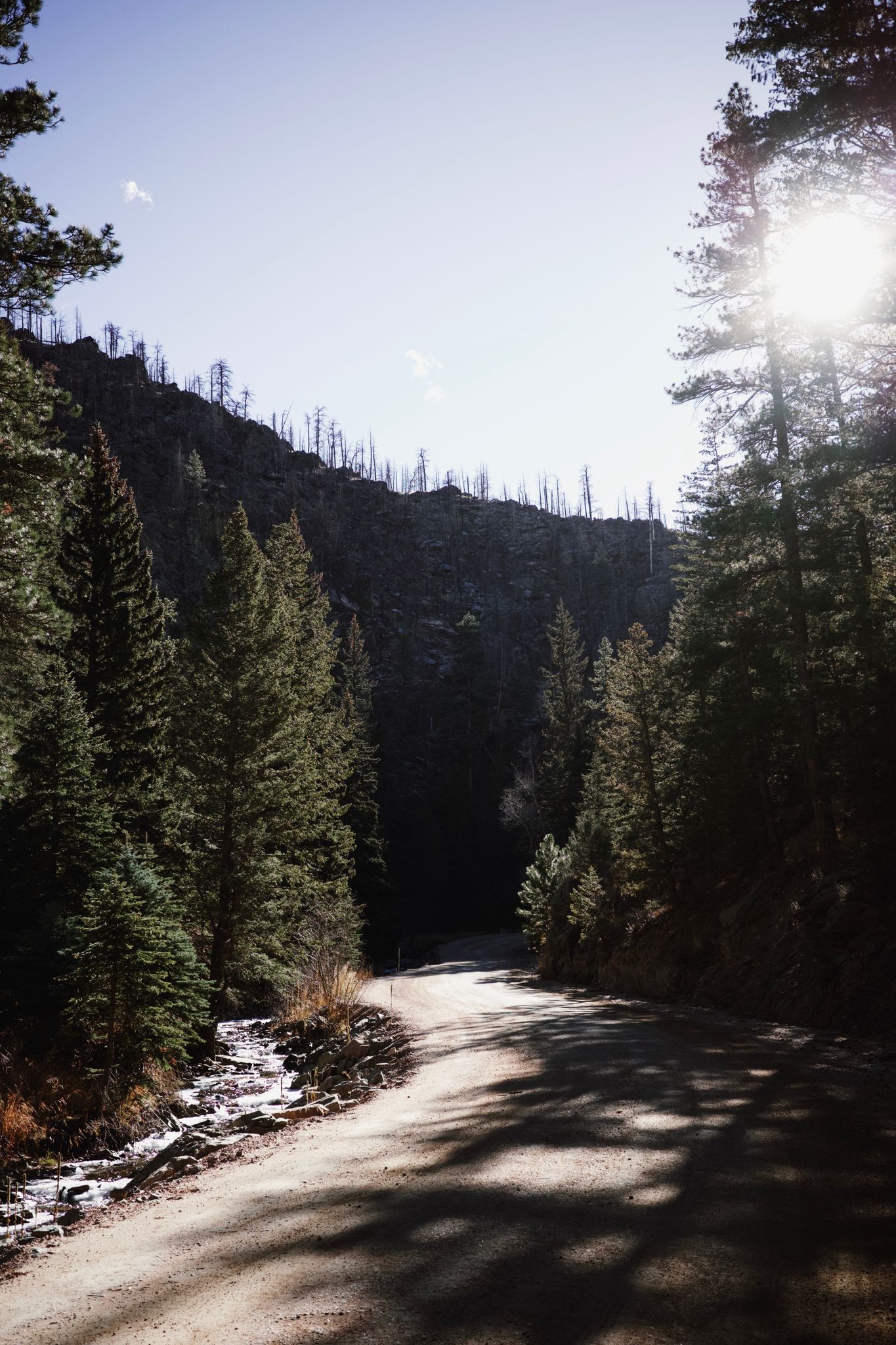 Preview image for It snowed a bit