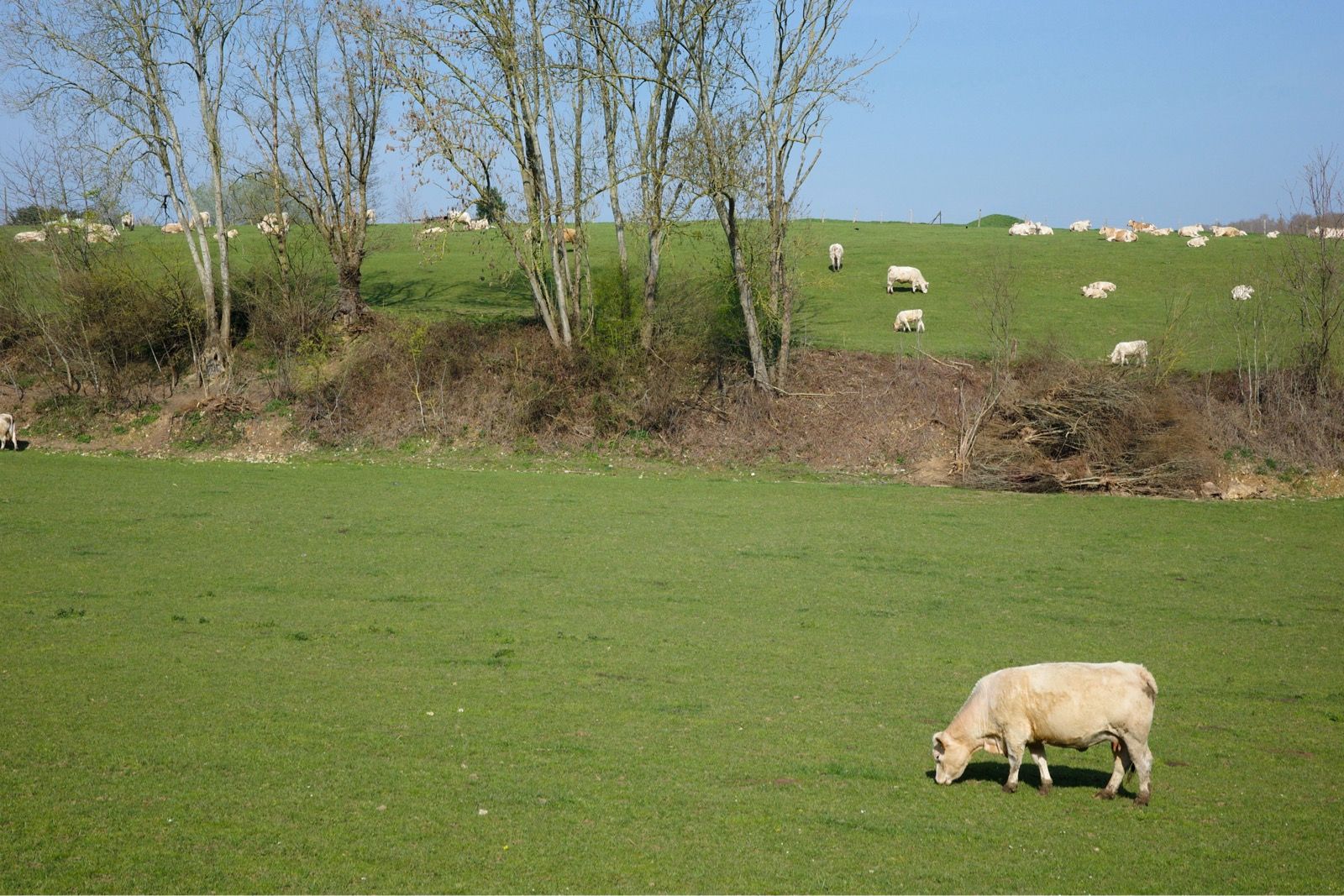 Preview image for Normandy 300k. Entre Seine & Eure