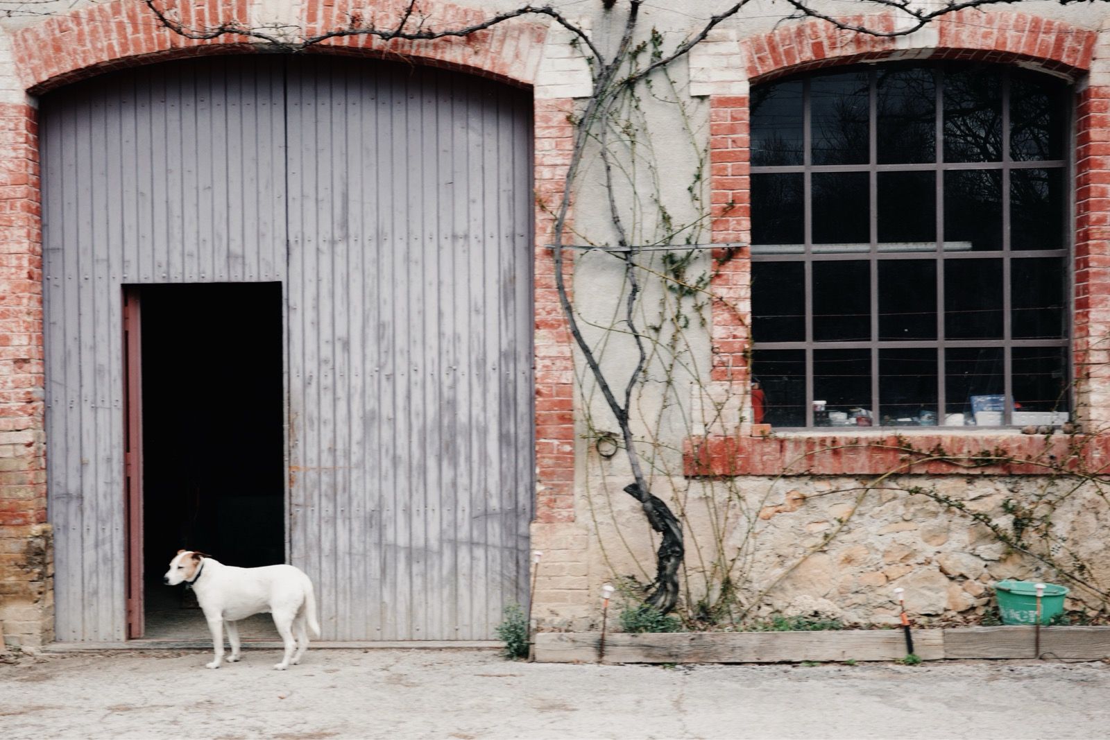 Preview image for Forcalquier