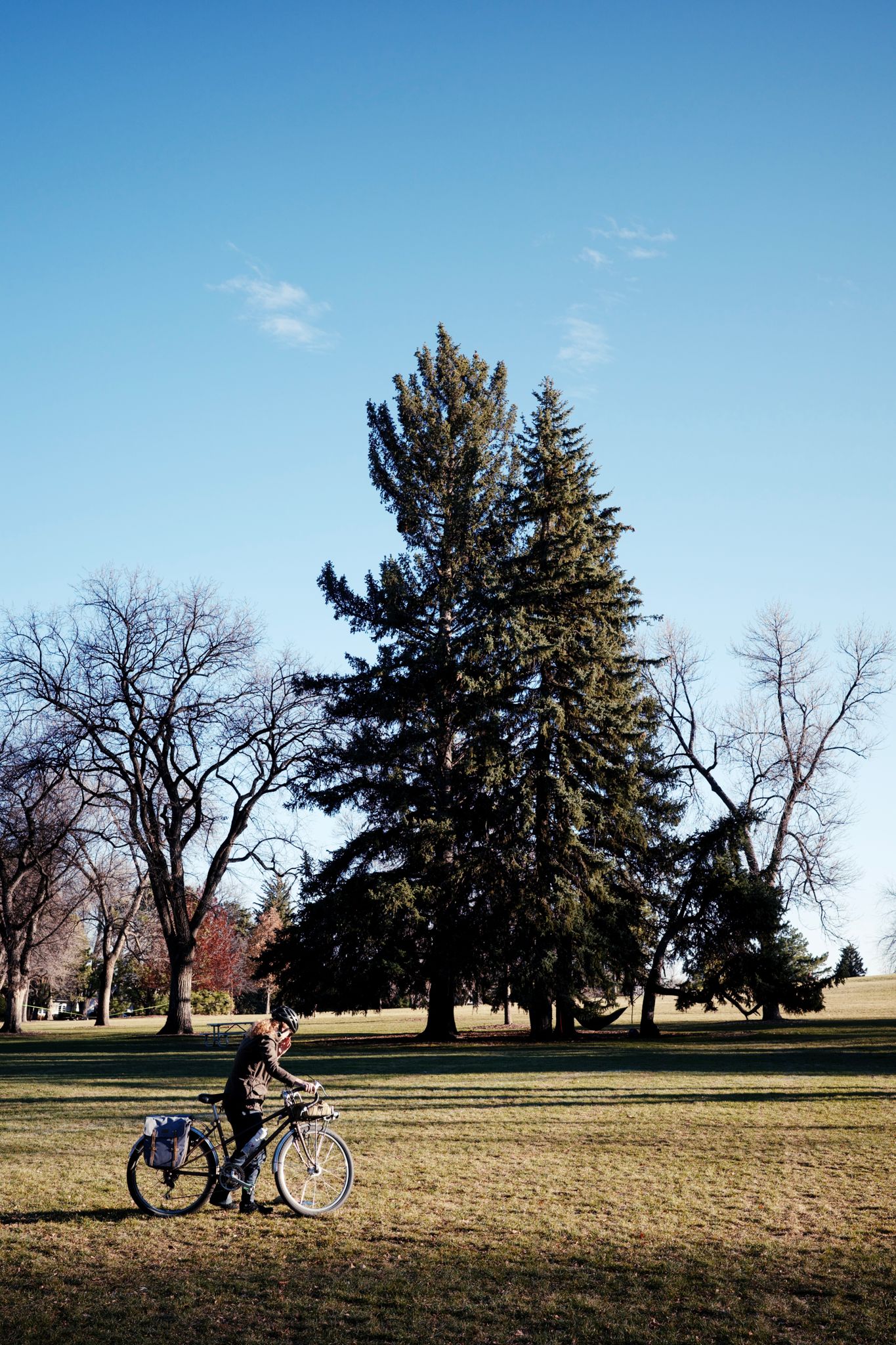 Preview image for Winter is closing in