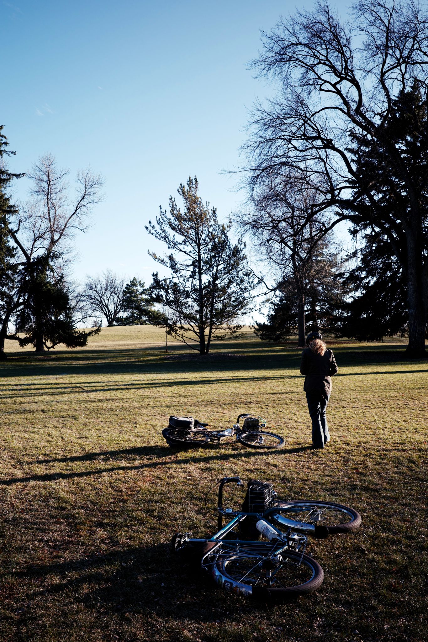 Preview image for Winter is closing in